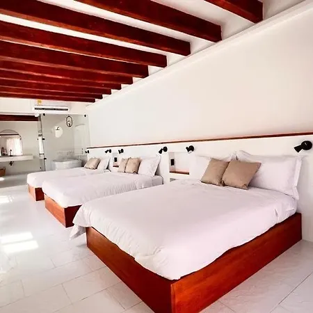 Old Town House Rooftop & Pool *