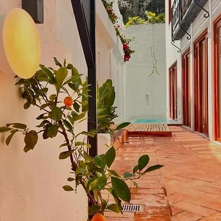 Old Town House Rooftop & Pool * Cartagena